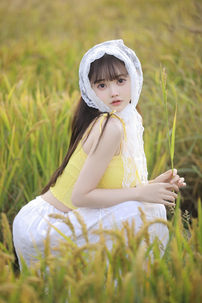 踏血寻梅
